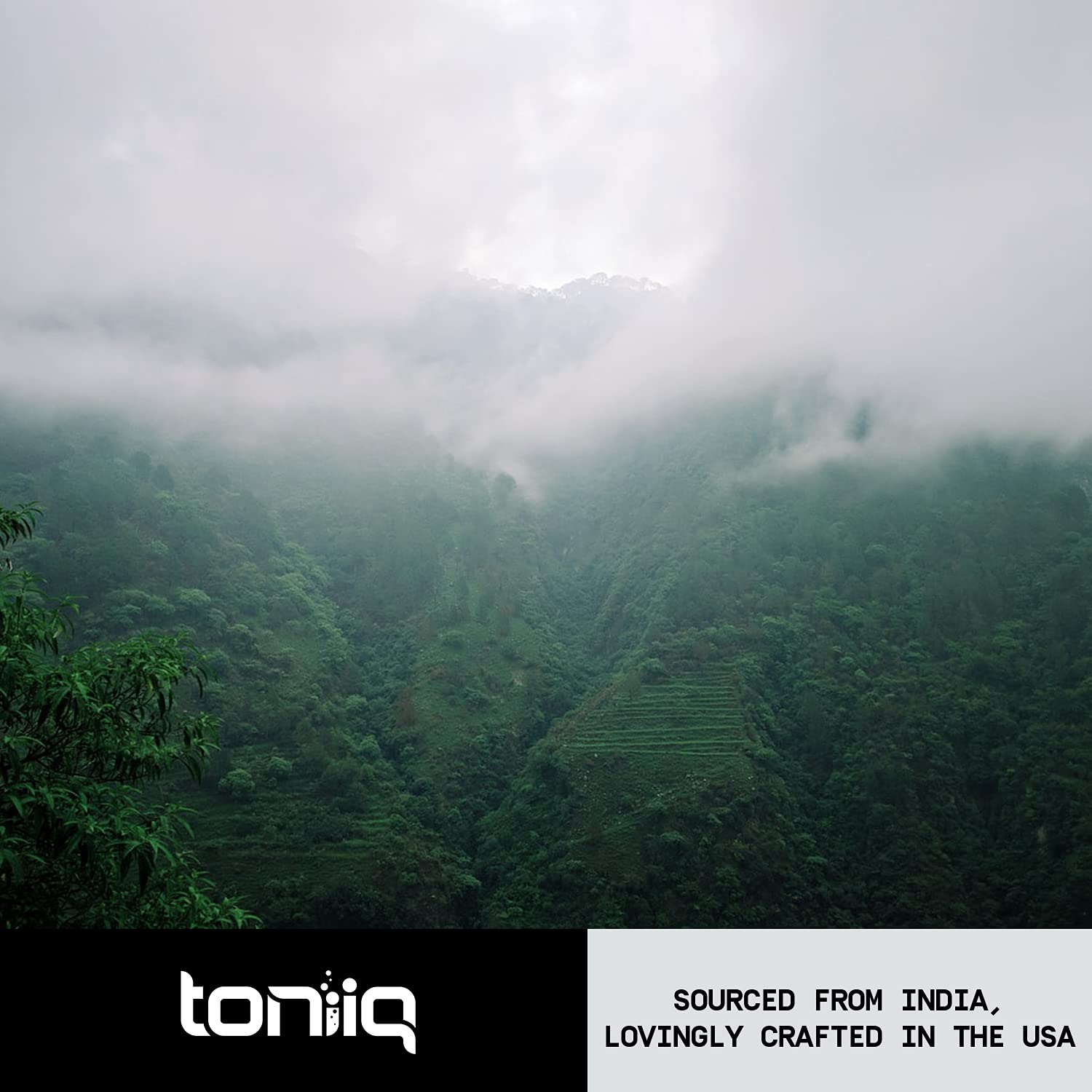 Toniiq 26,000mg 20x Concentrated Extract - 10% Withanolides - Ultra High Strength