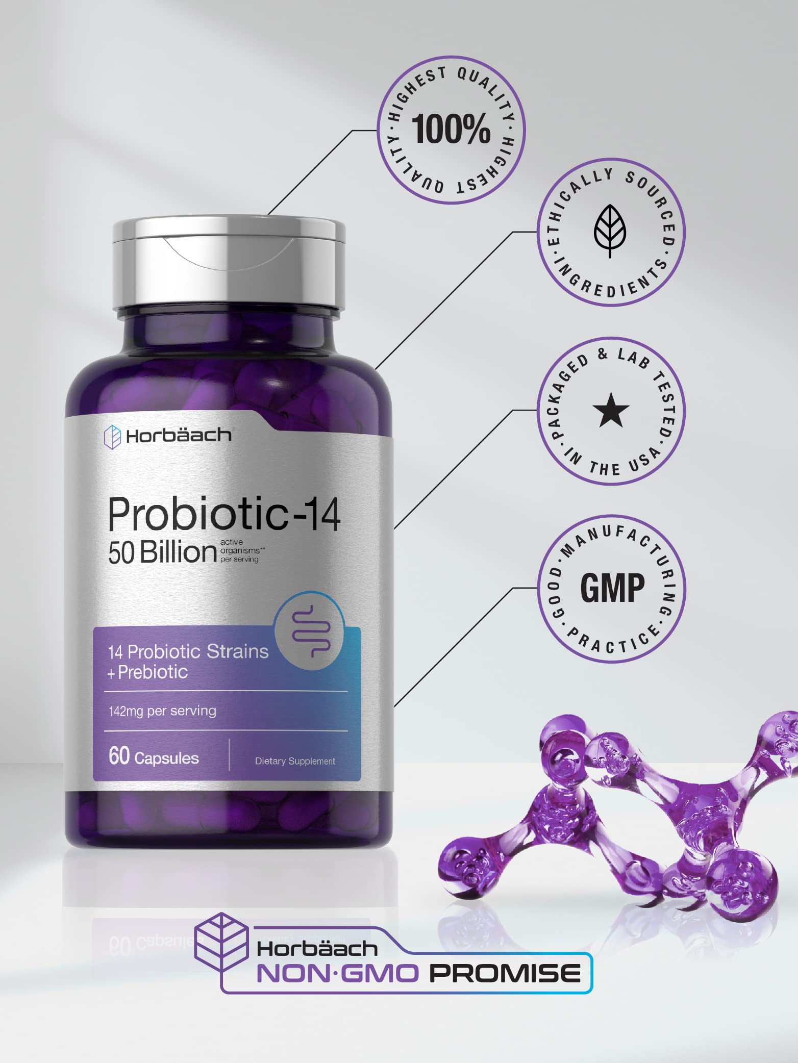 Horbäach Probiotics with Prebiotics | 60 Capsules | 50 Billion Active Organisms | Non-GMO