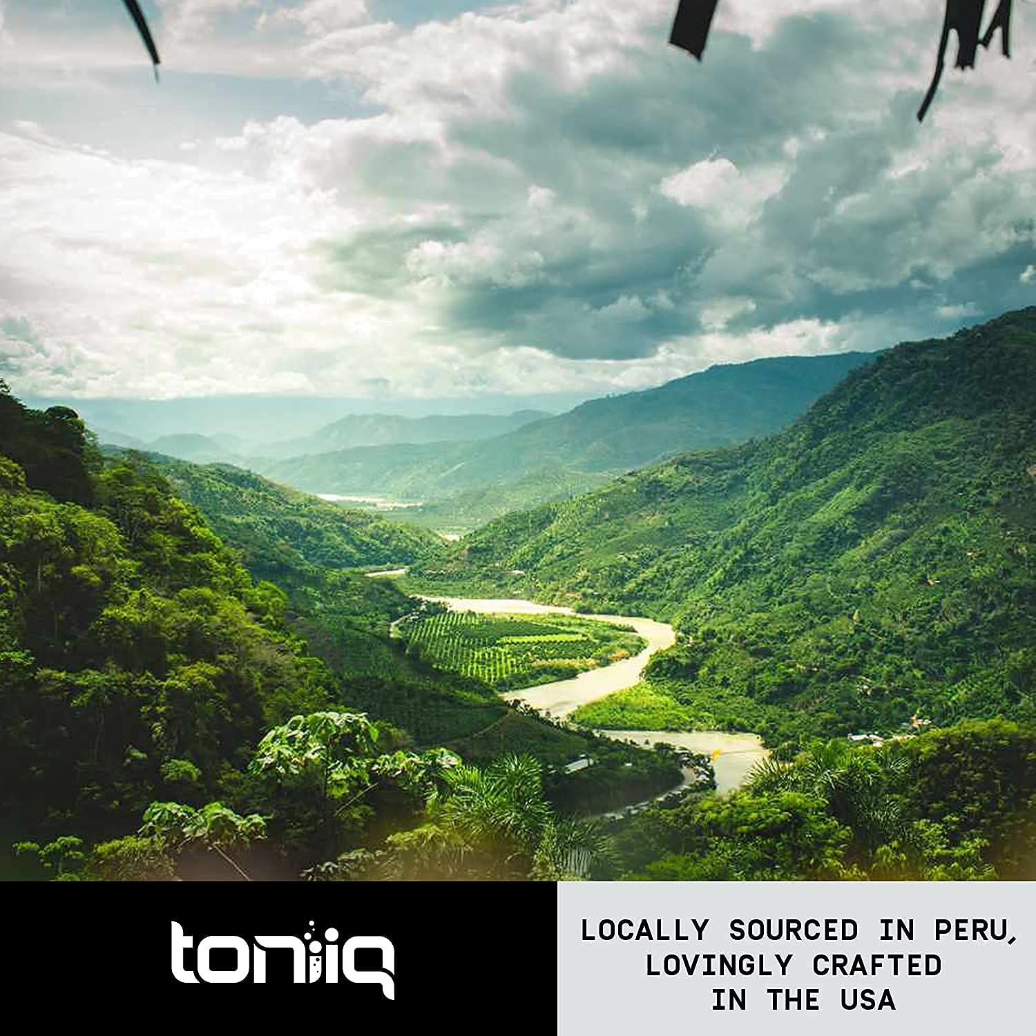 Toniiq 10,000mg 20x Concentrated Extract - Single Origin Wildcrafted Maca Root Capsules