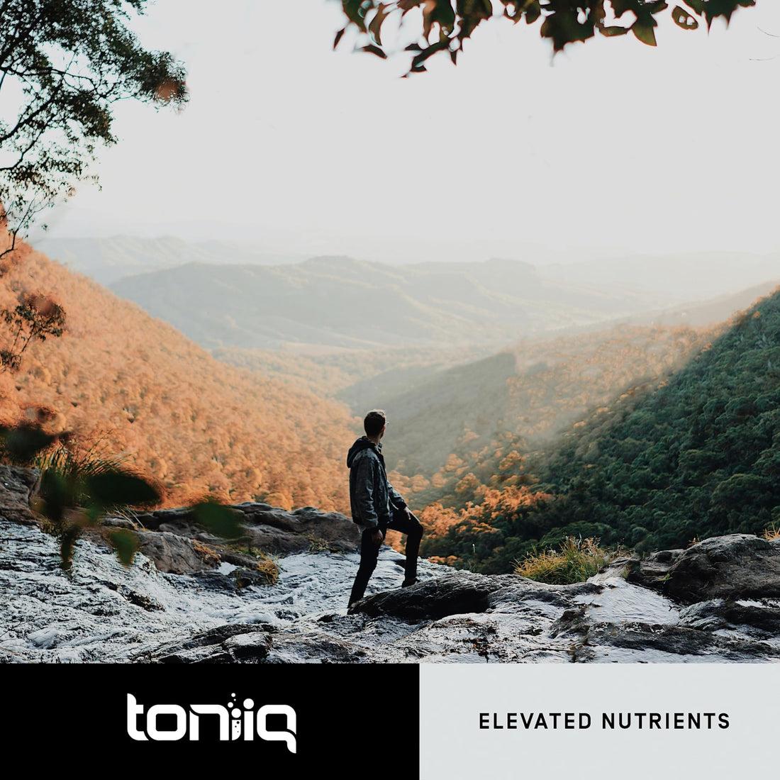 Toniiq 18,000mg 15x Concentrated Artichoke Extract Capsules - Ultra Concentrated