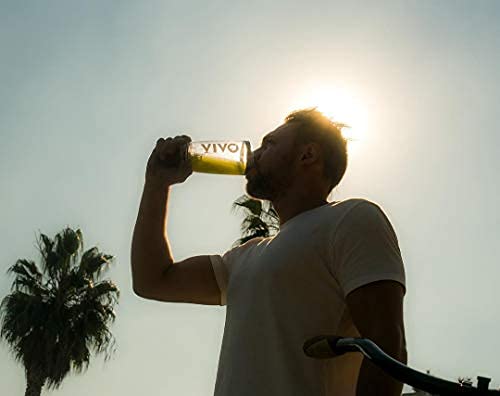 Vivo Life Perform Strawberry & Vanilla Flavour Vegan Protein Powder - BCAA Pea & Hemp Blend Vivo life