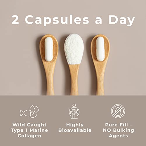 Wild-Caught Marine Collagen Complex Capsules with Hyaluronic Acid | 120 Capsules - 2 Month Supply LOVE LIFE SUPPLEMENTS