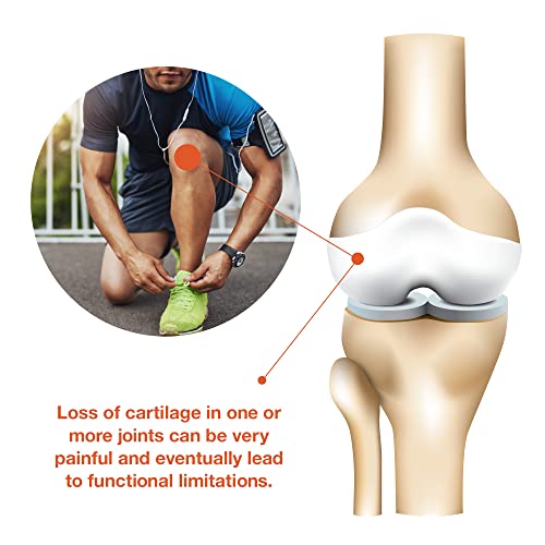 Youtheory Joint Complex with UC-II, 60 Count (1 Bottle) YouTheory
