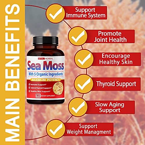 VITAL HERBAL Irish Sea Moss Capsules Equivalent to 5450mg - Maximum Potency VITAL HERBAL