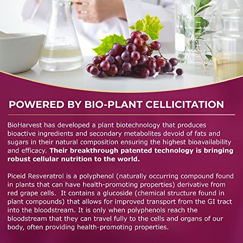 VINIA 12-Hour Sustained Release Piceid Resveratrol Supplement. Nitric Oxide Supplement VINIA