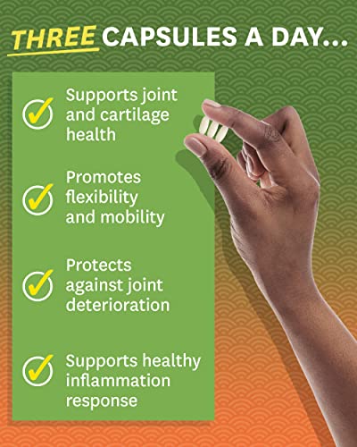 Zenwise Health Glucosamine Chondroitin MSM - Joint Support Supplement with Turmeric Zenwise Health