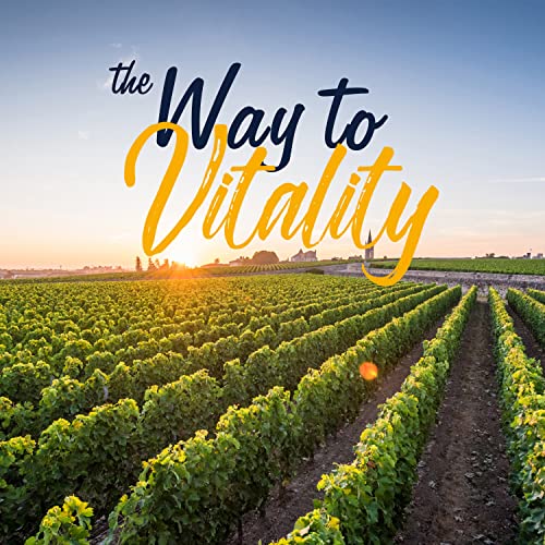 VITALITOWN Prenatal Vitamin, with Omega-3 DHA, Folate, Iron, VIT C, D3, Calcium, Zinc, Choline VITALITOWN