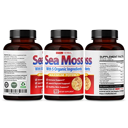 VITAL HERBAL Irish Sea Moss Capsules Equivalent to 5450mg - Maximum Potency VITAL HERBAL