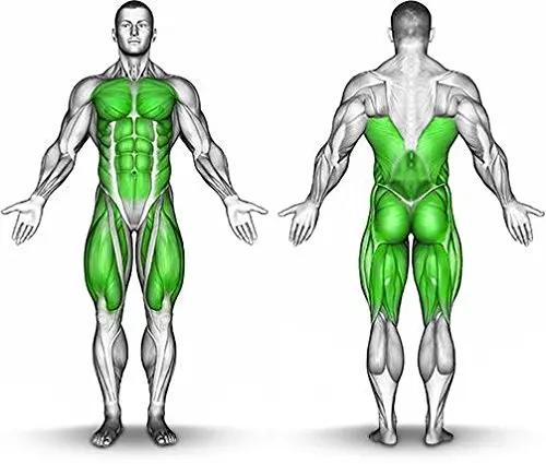 Vasoburn 3.38 oz Pump Bottle, Targets Stubborn Areas, Capsacin Cream, yohimbine Cream