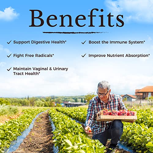 VITALITOWN Women's Probiotics 120 Billion CFUs 1 Daily, 30 Strains, with Prebiotics VITALITOWN