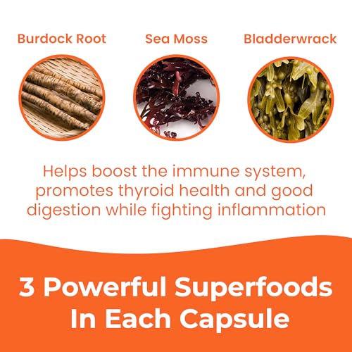 INFINITE AGE: 1250mg Sea Moss Advanced Superfood - High-Potency, Vegan INFINITE AGE