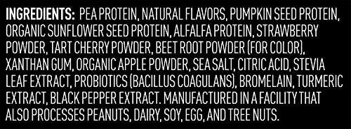 Vega Premium Sport Protein Berry Protein Powder, Vegan, Non GMO, Gluten Free Plant Vega