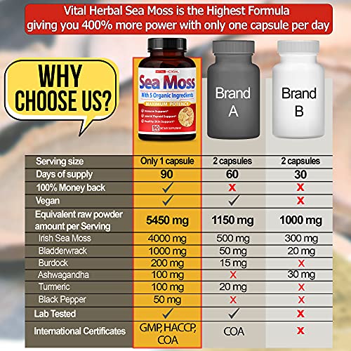 VITAL HERBAL Irish Sea Moss Capsules Equivalent to 5450mg - Maximum Potency VITAL HERBAL
