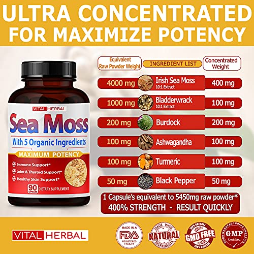 VITAL HERBAL Irish Sea Moss Capsules Equivalent to 5450mg - Maximum Potency VITAL HERBAL