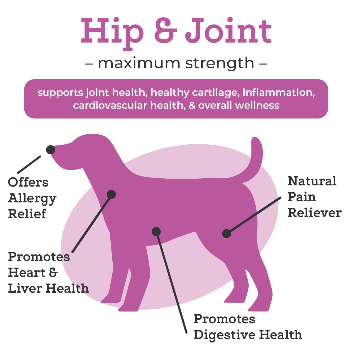 VetPro Dog Hip and Joint Supplement - Pain and Inflammation Relief Chews VetPro Complete