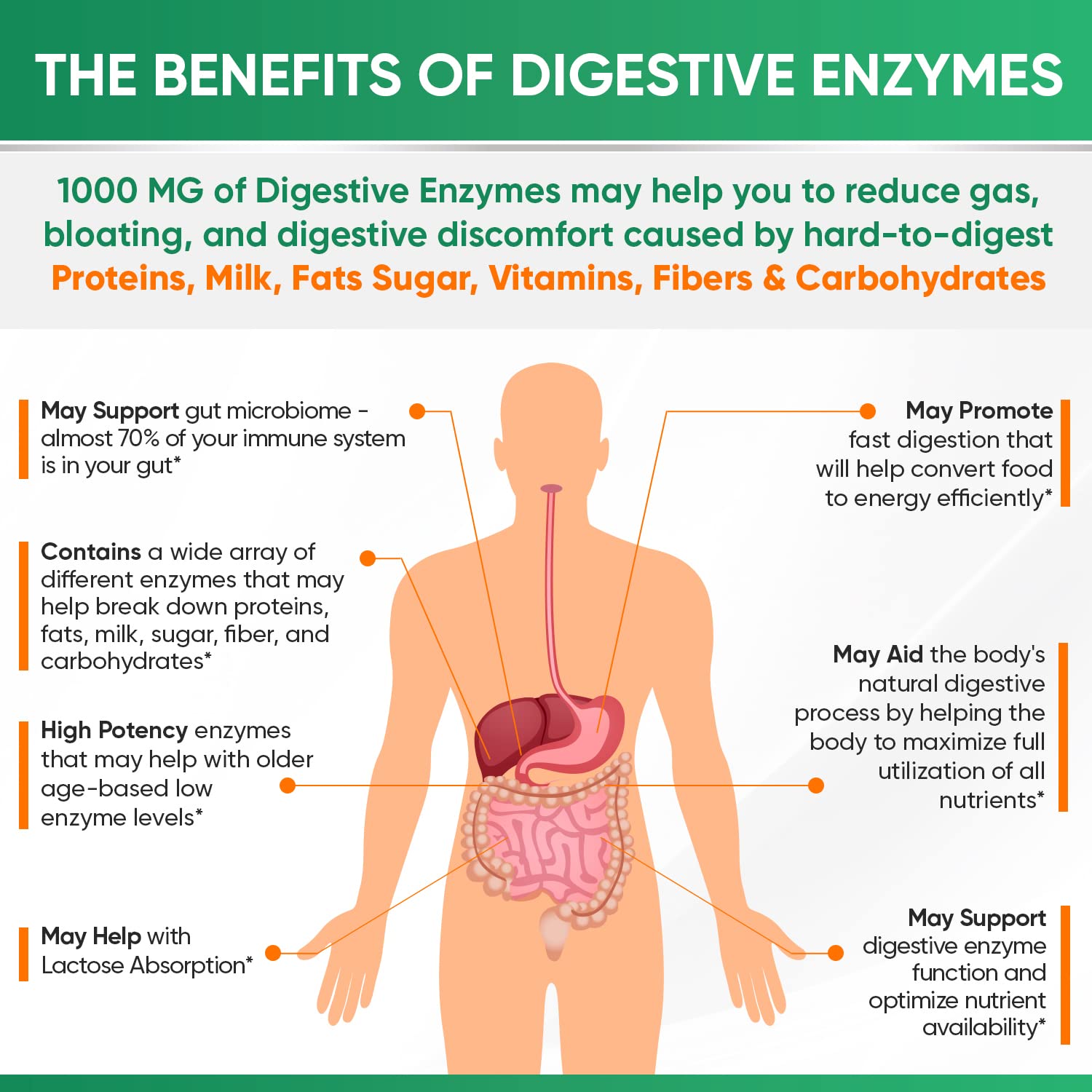Wholesome Wellness Digestive Enzymes 1000MG Plus Prebiotics & Probioti Wholesome Wellness