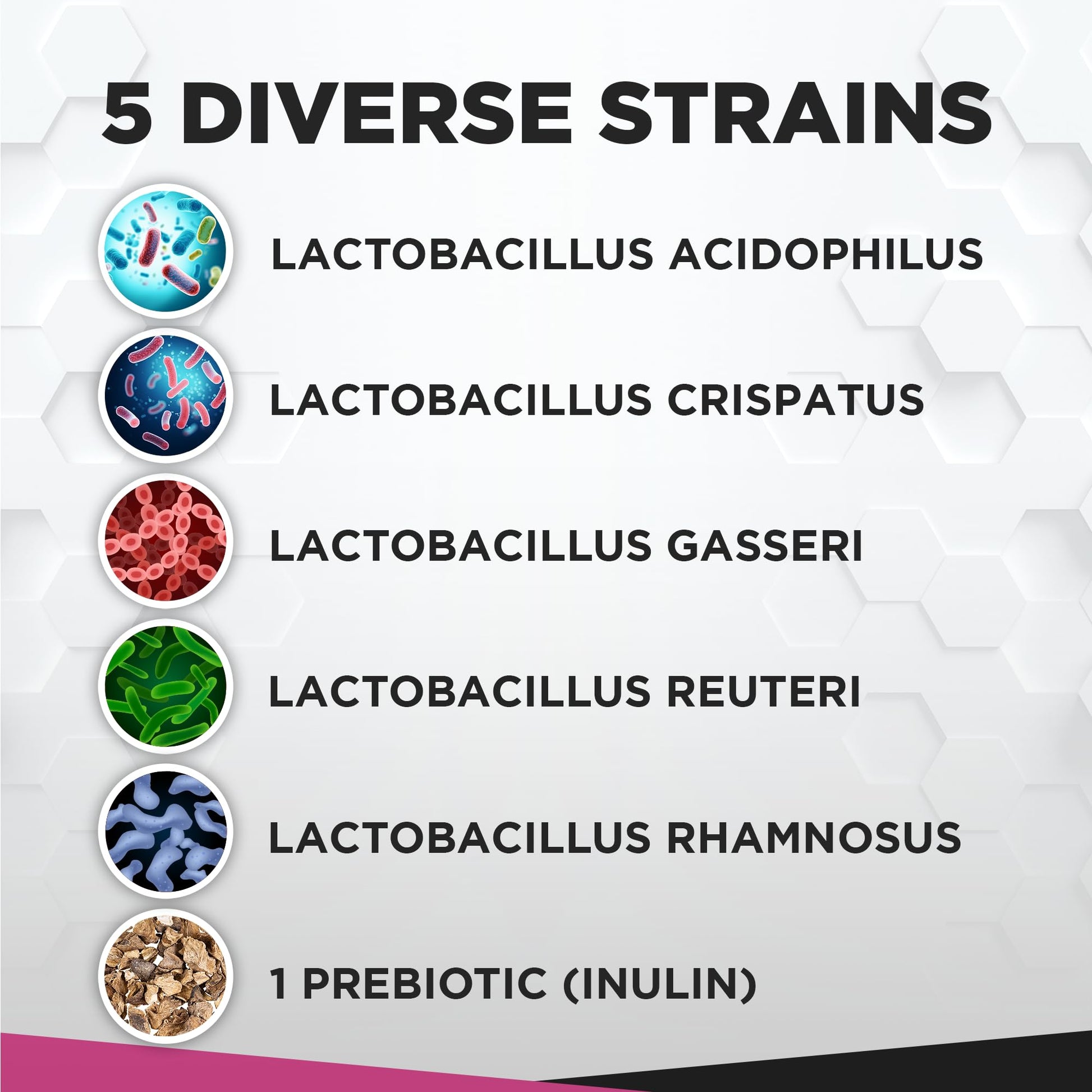 Vaginal Probiotics for Womens Health 20 Billion CFU | PH Balance & Vaginigal Odor Support 60 Capsules Natural Foundation Supplements