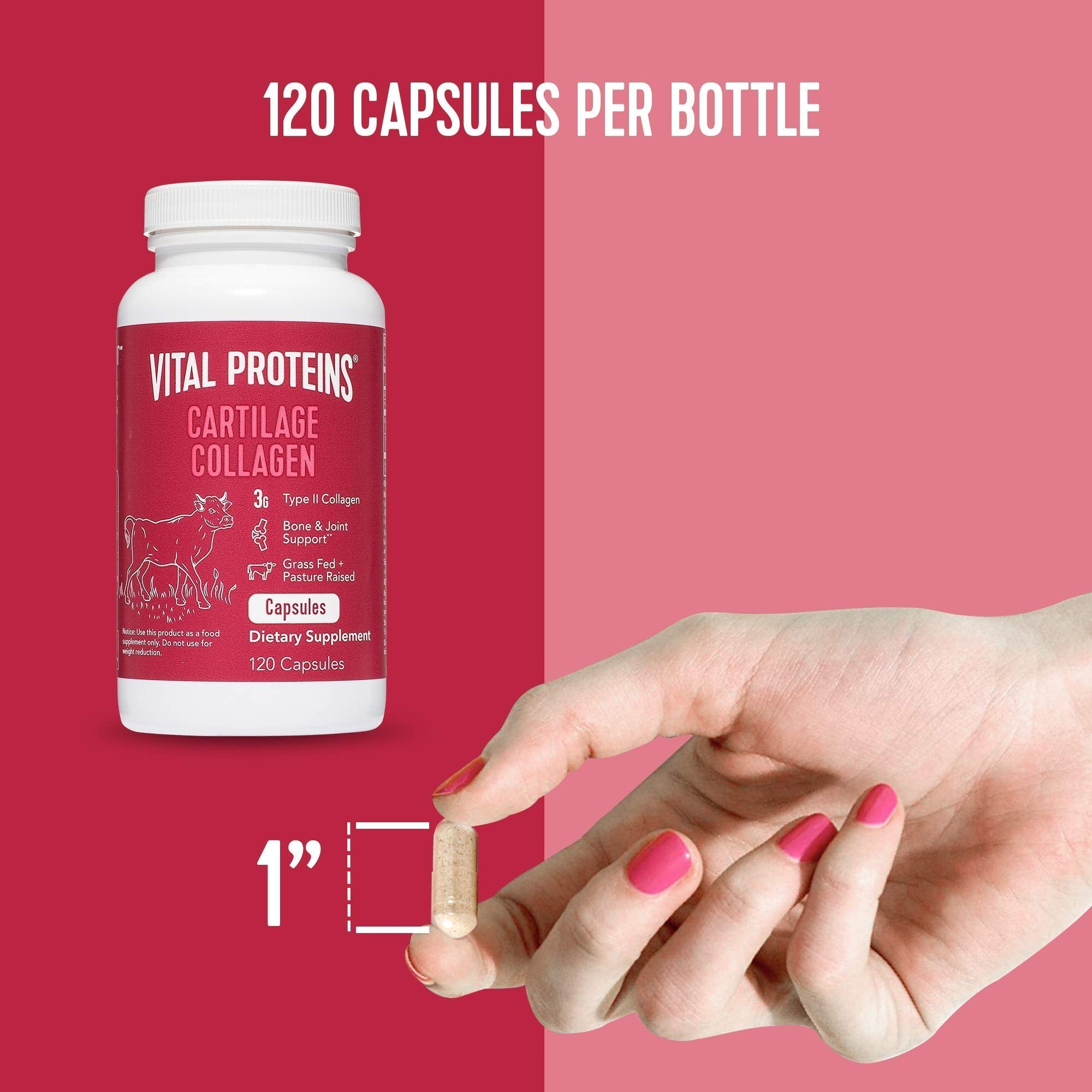 Vital Proteins Collagen Peptides Powder 19.3oz+ Collagen Pills, Type II Vital Proteins