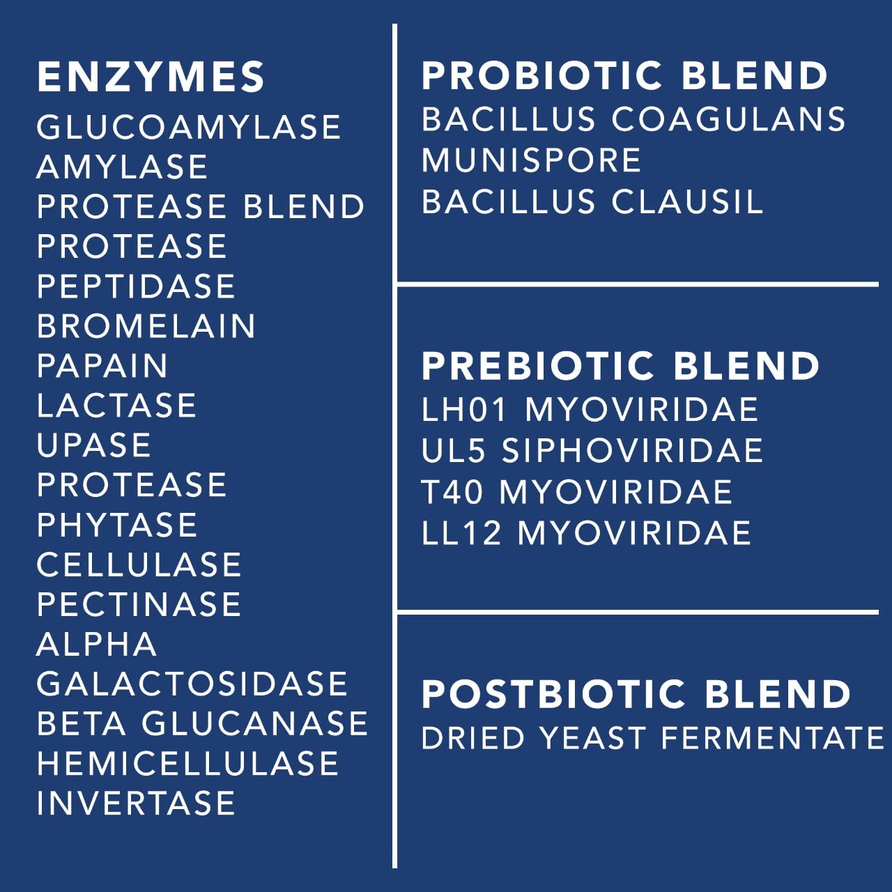 4-in-1 Prebiotic Probiotic & Postbiotic for Women & Men, Complete Gut & Digestive Support PLANT.O NUTRITION