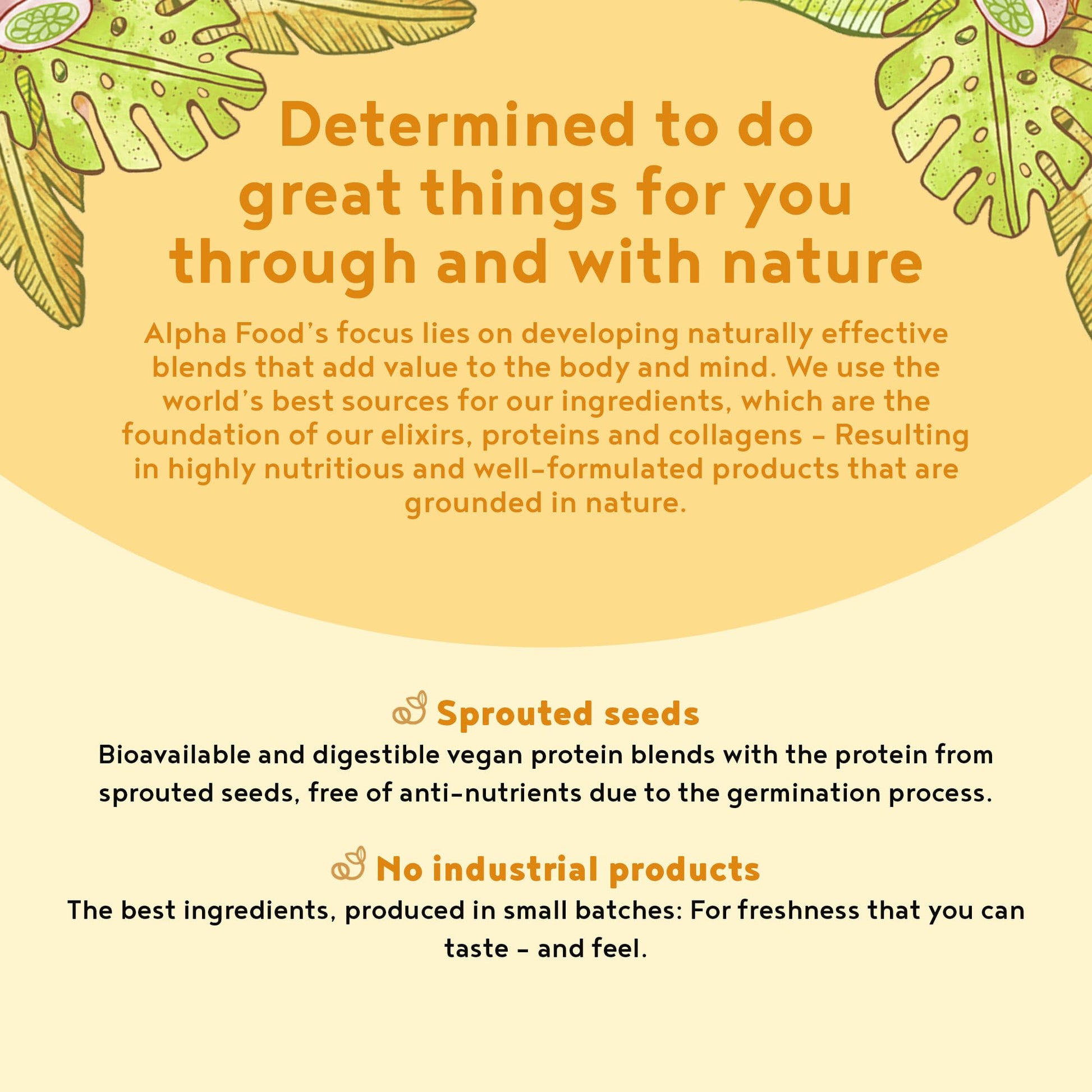 Vegan Protein Powder Vanilla - 1.2kg(80 servings) - 100% Plant Based Protein Powders Alpha Foods