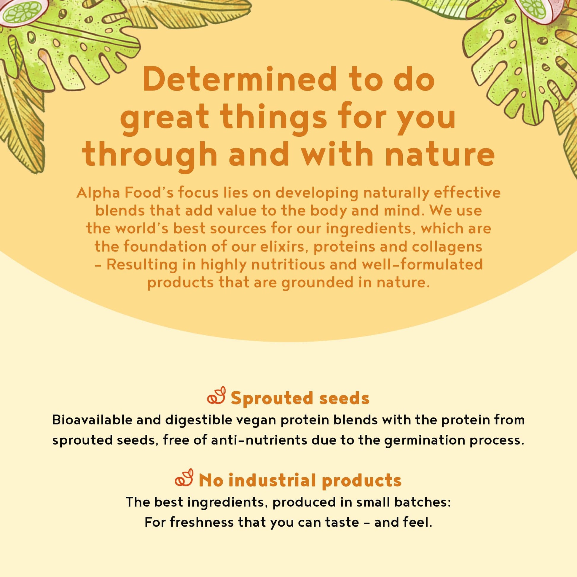 Vegan Protein Powder - Muscle Building Powder with Amino Acids - Plant Based Protein Shake Alpha Foods