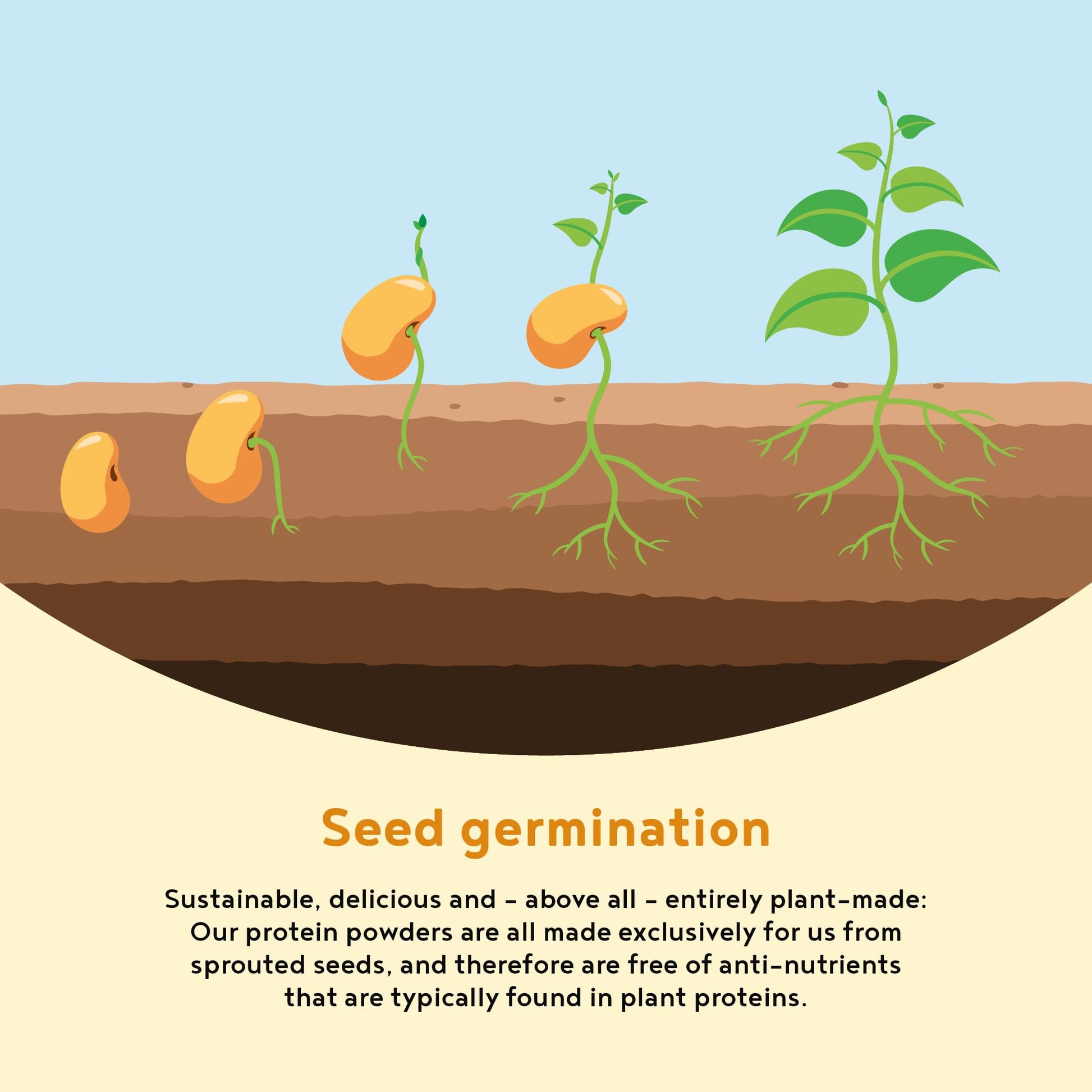 Vegan Protein Powder Vanilla - 1.2kg(80 servings) - 100% Plant Based Protein Powders Alpha Foods