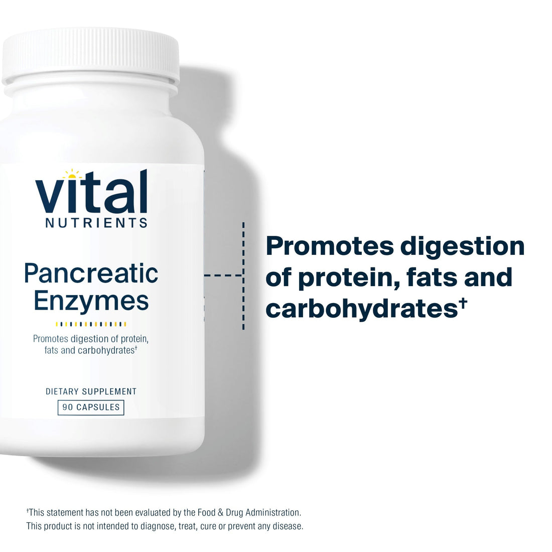 Vital Nutrients Pancreatic Enzymes 1000mg (Full Strength) | Pancreatin Digestion Supple