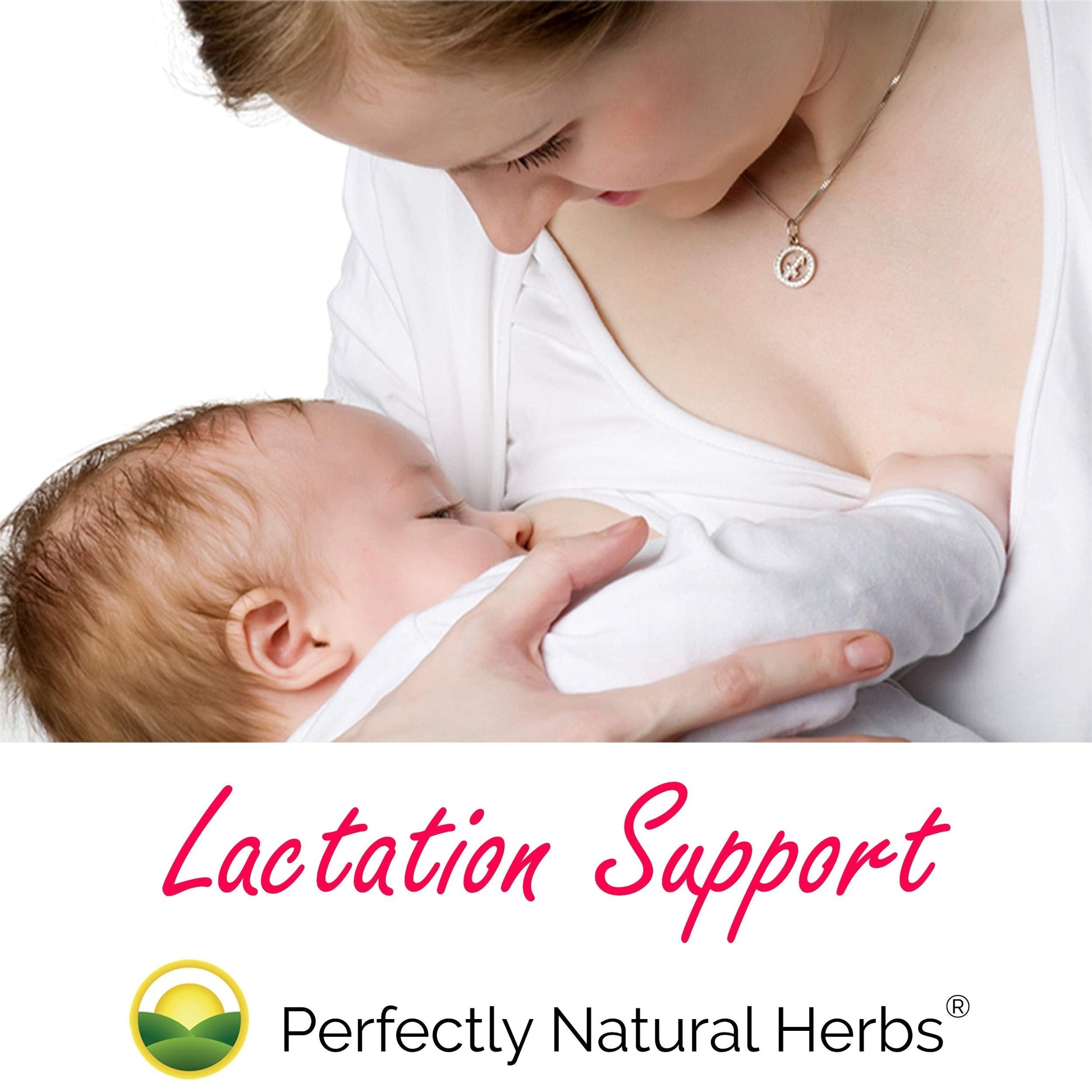 150 Moringa Capsules Made With USDA Certified Organic Moringa Leaf Powder Perfectly Natural Herbs