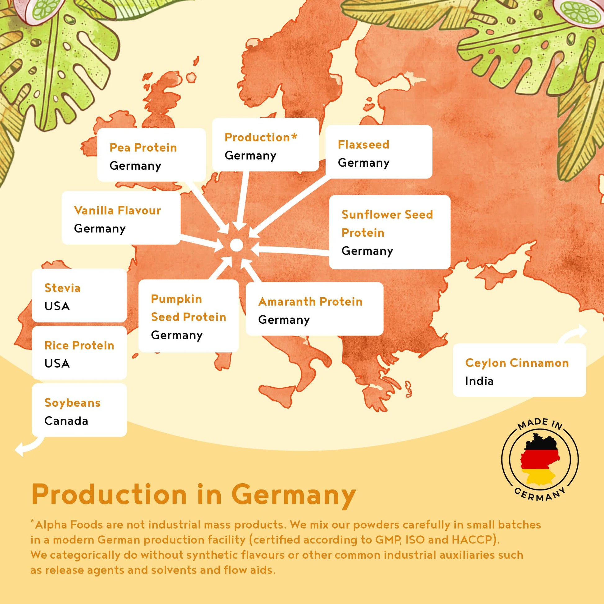 Vegan Protein Powder Vanilla - 1.2kg(80 servings) - 100% Plant Based Protein Powders Alpha Foods