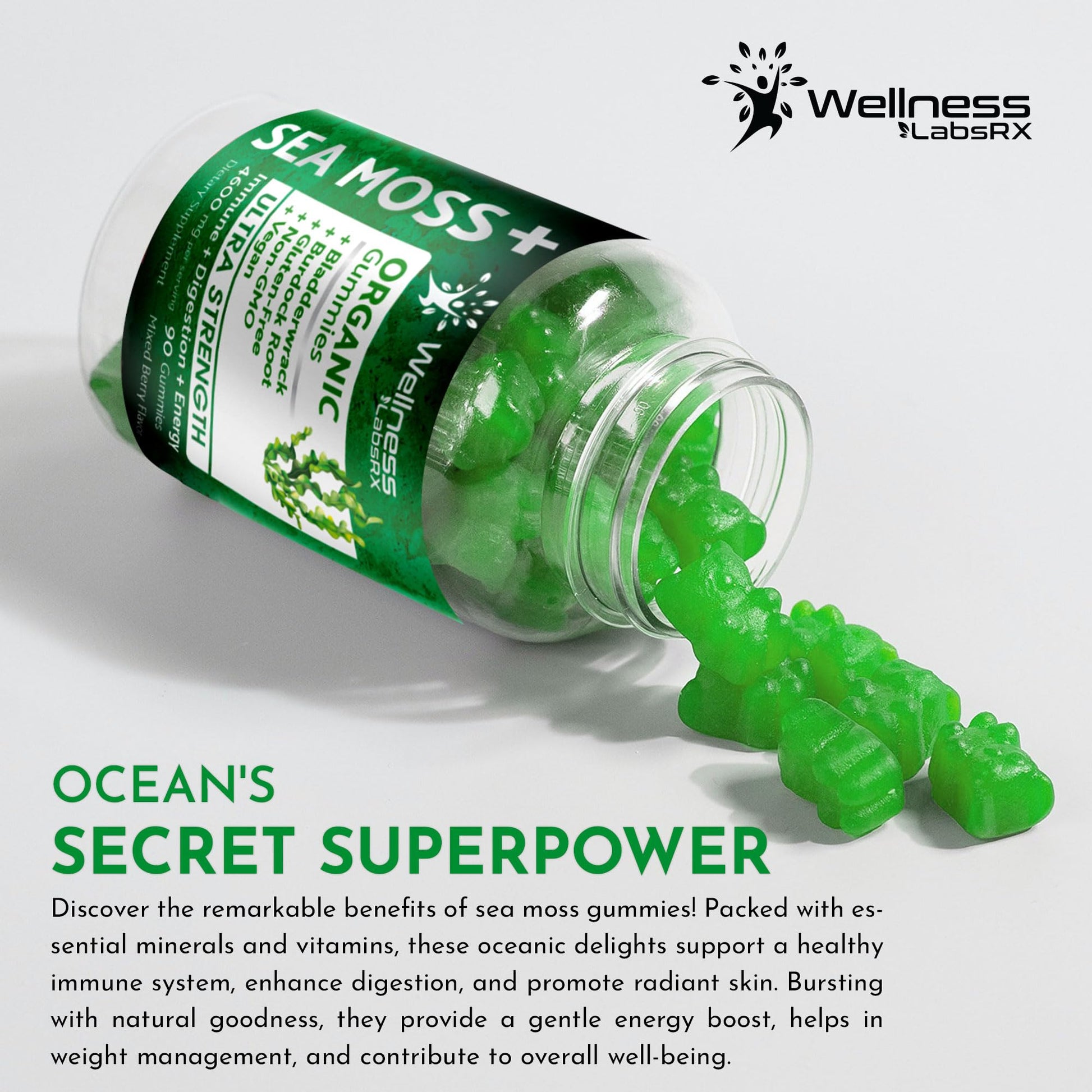 WELLNESS LABSRX Sea Moss Gummies, 3200mg Organic Seamoss, Irish Sea Moss WELLNESS LABSRX