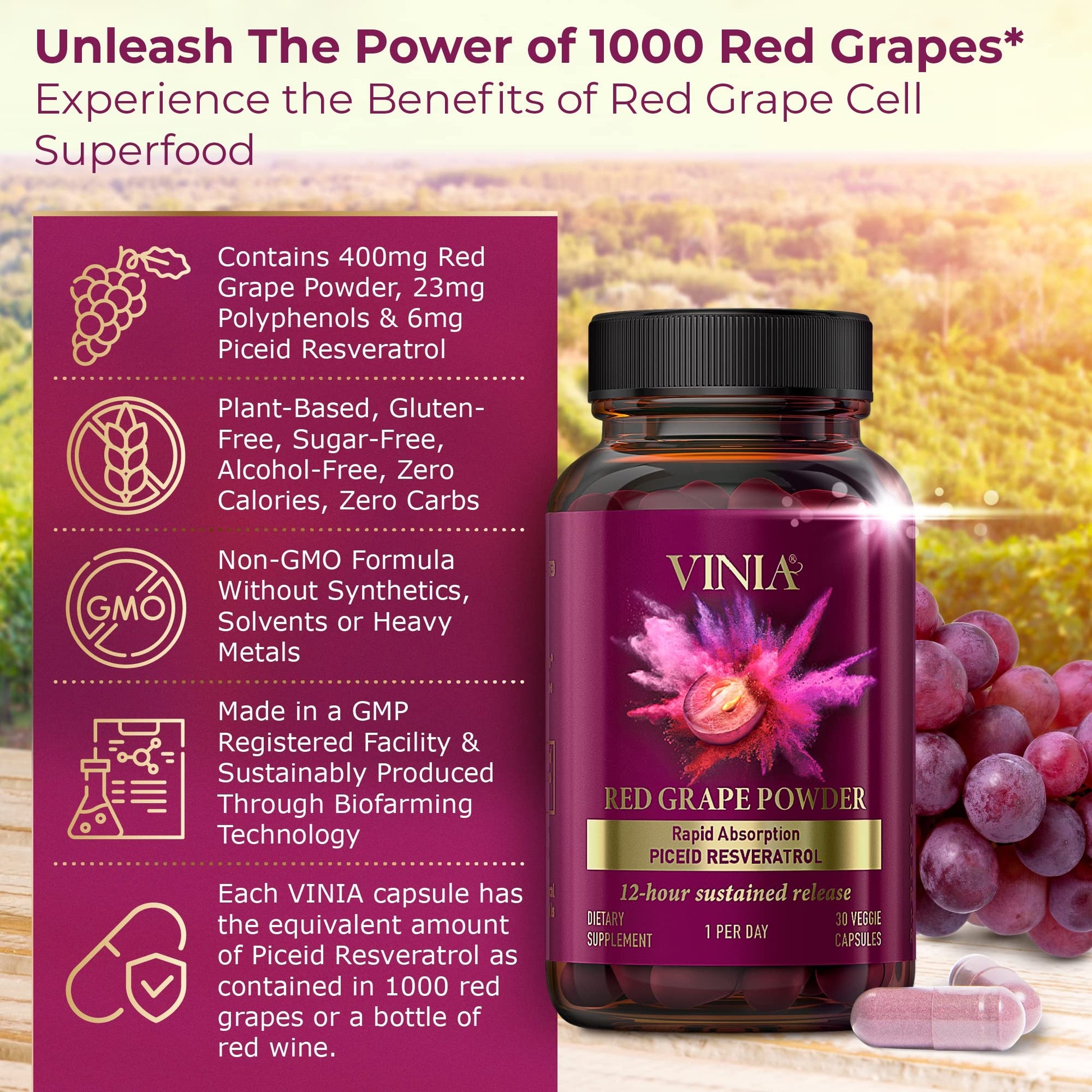 VINIA 12-Hour Sustained Release Piceid Resveratrol Supplement. Nitric Oxide Supplement VINIA