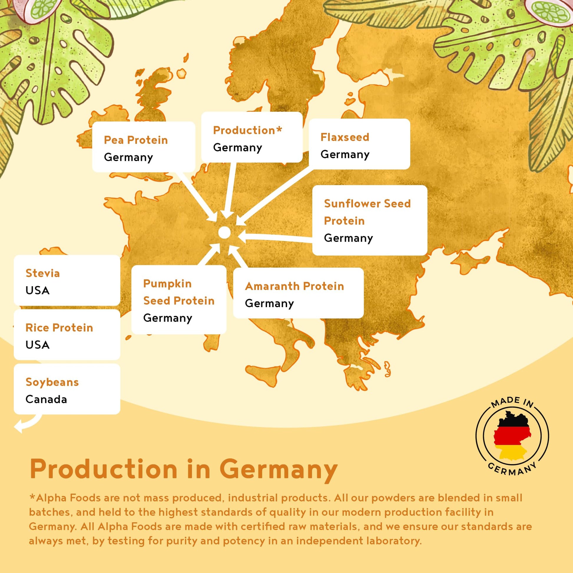 Vegan Protein Powder - Muscle Building Powder with Amino Acids - Plant Based Protein Shake Alpha Foods