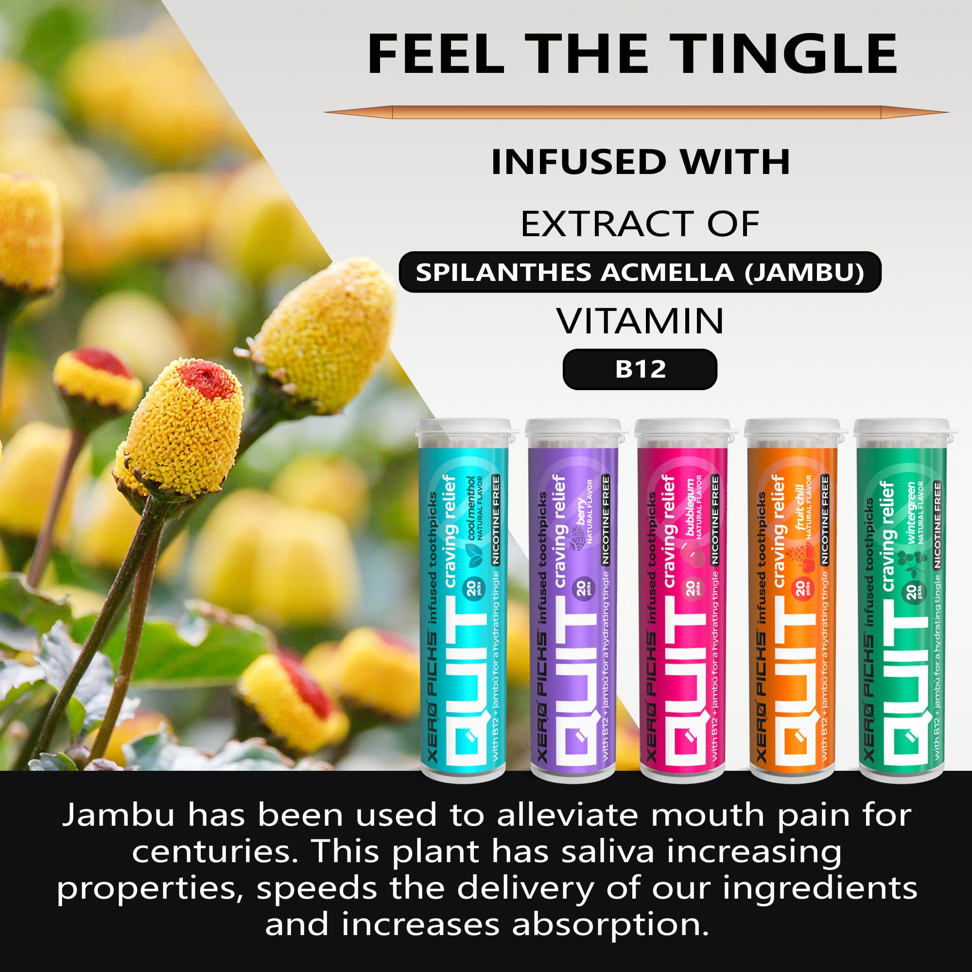 Xero Picks Infused Flavored Toothpicks to Help Quit Smoking - Nicotine Xero Picks