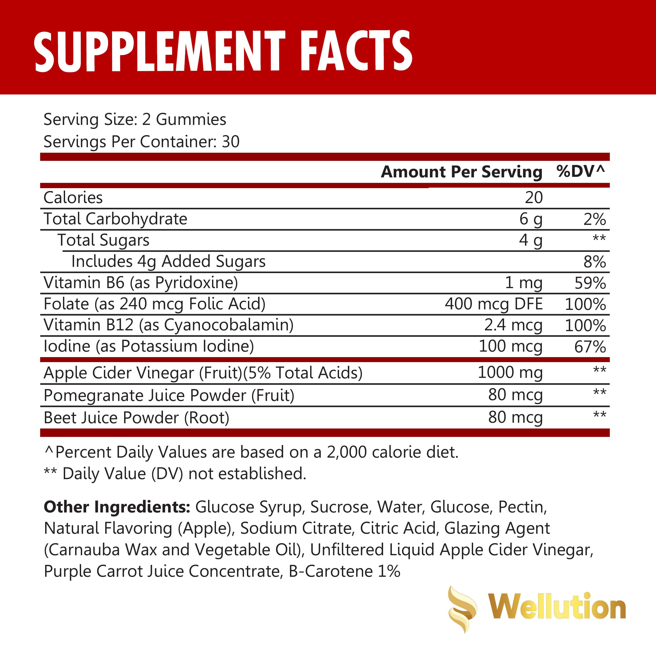 WELLUTION (2 Pack Gummies Apple Cider Vinegar - Formulated to Support Healthy Weight WELLUTION